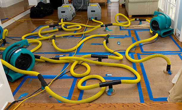 Professional Burst Pipe Water Damage technician working in North Royalton, OH